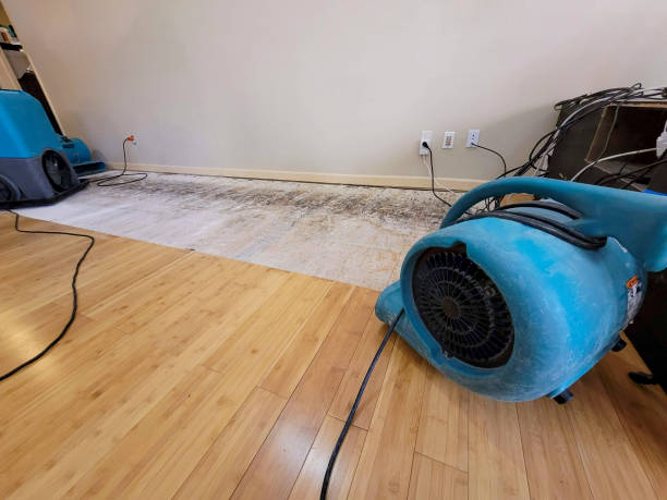 Professional Burst Pipe Water Damage technician working in Highland Park, MI