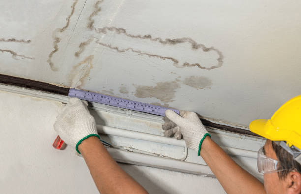 Affordable Burst Pipe Water Damage solutions in Highland Park, MI